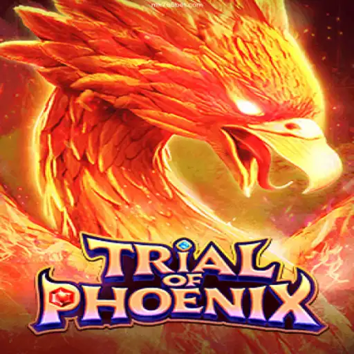 TrialofPhoenix: Rising Through the Ranks in the World of Online Gaming